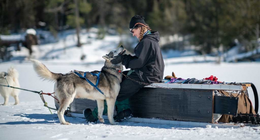 a person sits on a sled resting on its side and pets a sled dog